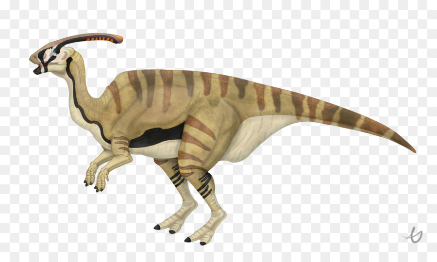 Tyrannosaurus，Charonosaurus PNG