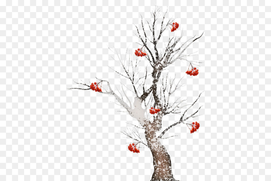 Ramita，árbol PNG