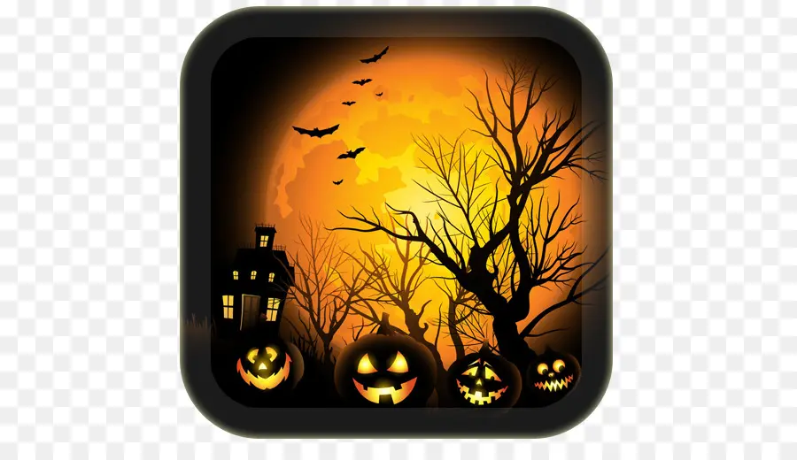 Halloween，Jacko Lantern PNG