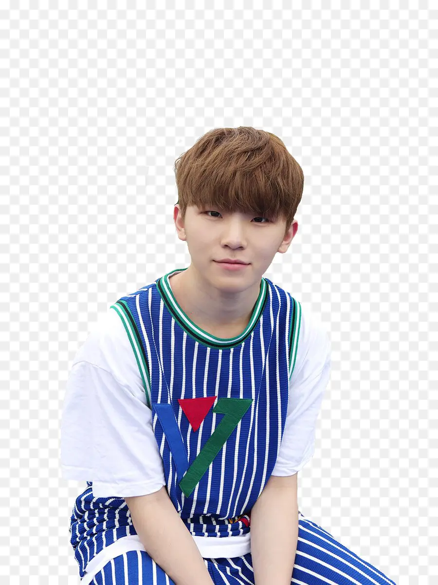 Woozi，Diecisiete PNG