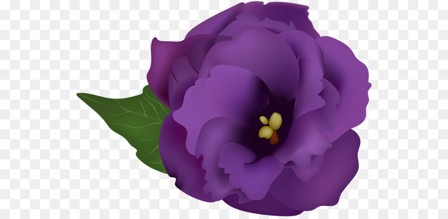 Flor Morada，Hojas PNG