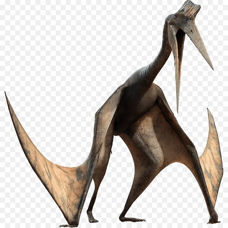 Pterosaurios，Quetzalcoatlus PNG