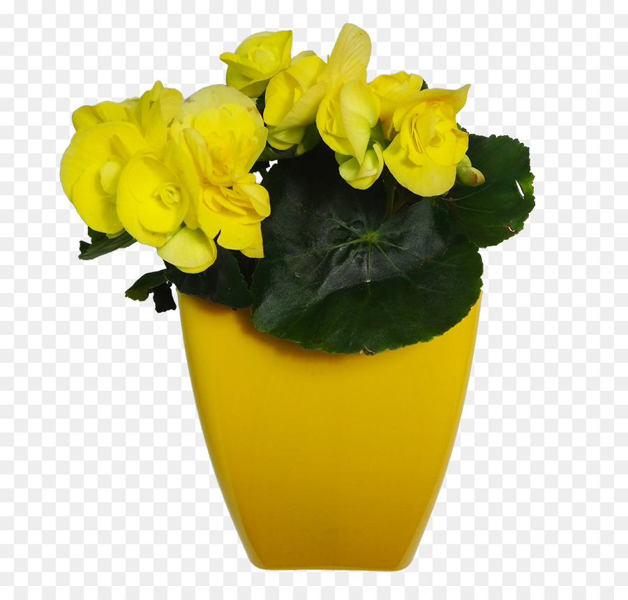 Flores Amarillas，Florero PNG