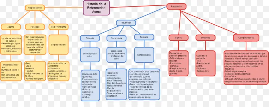 Mapa Conceptual，El Asma PNG