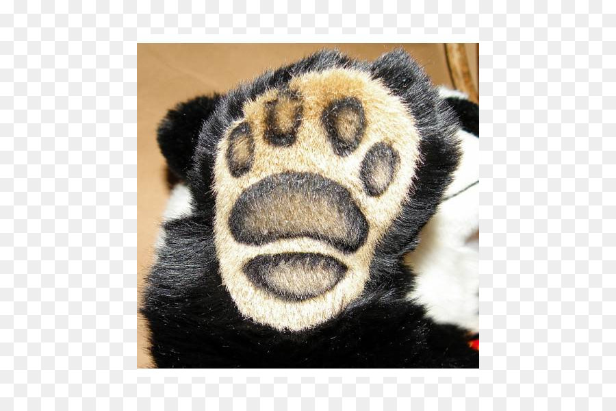 El Panda Gigante，Gato PNG