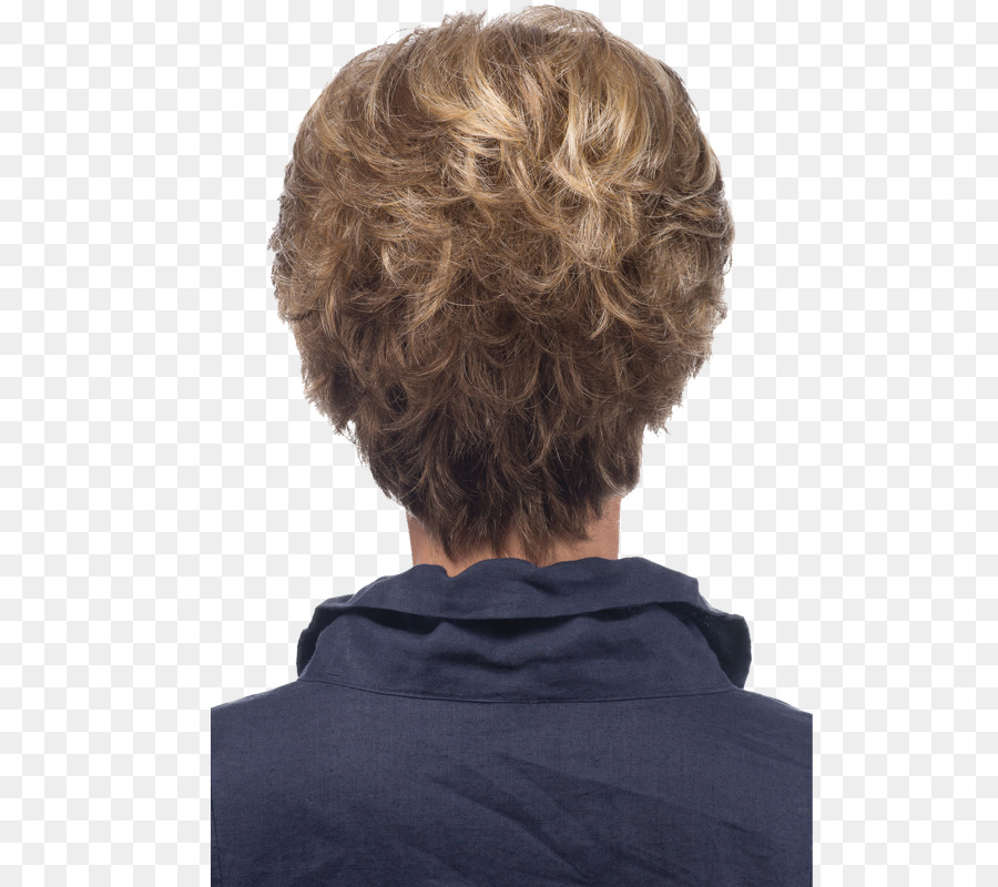 Pelo Corto，Vista Posterior PNG