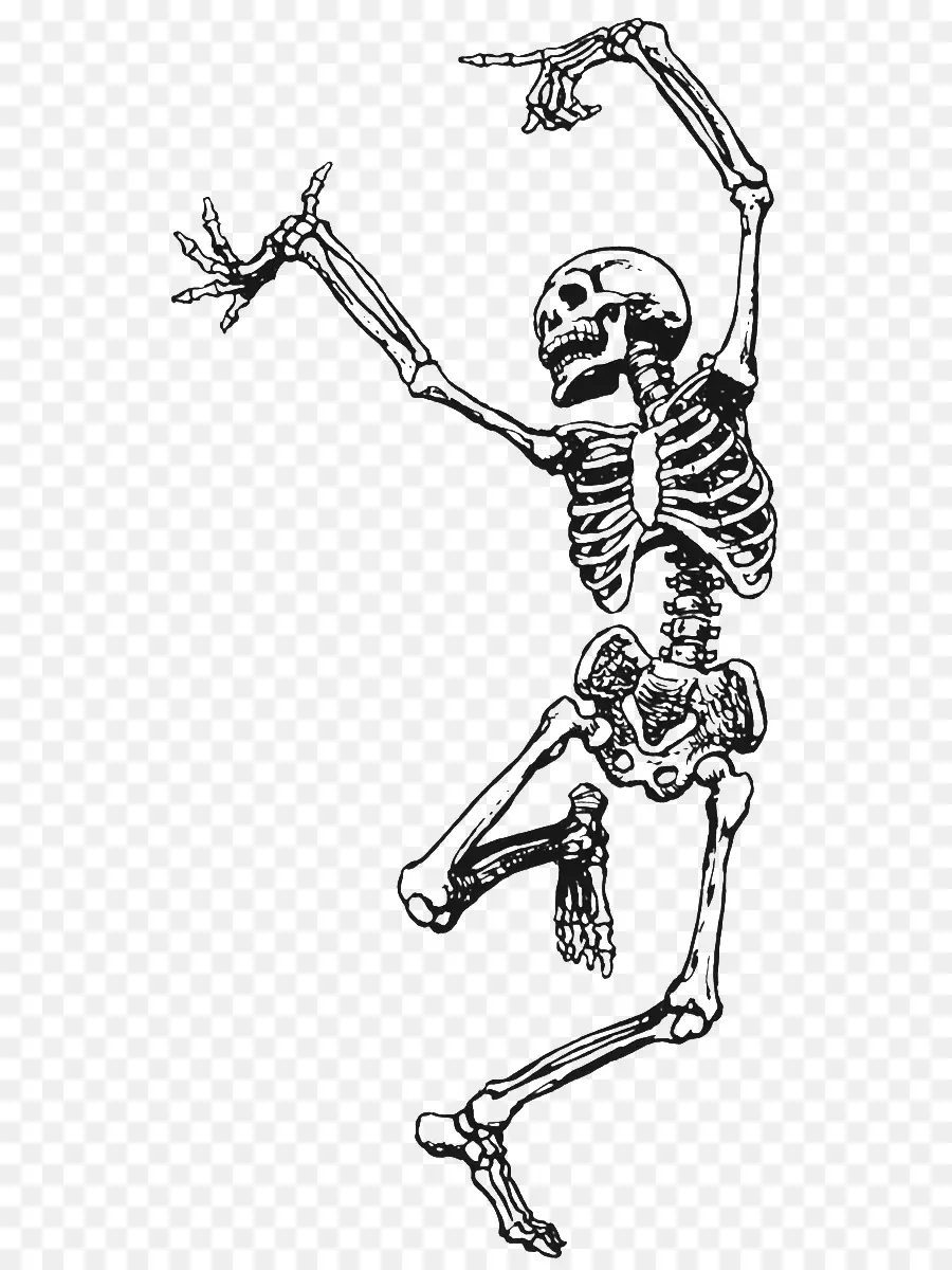 Esqueleto，La Muerte PNG