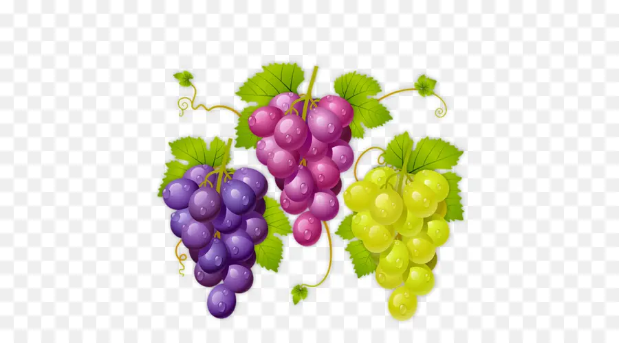 Uvas，Racimo PNG