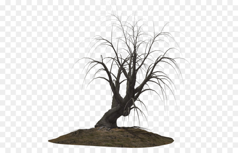 árbol Muerto，Estéril PNG