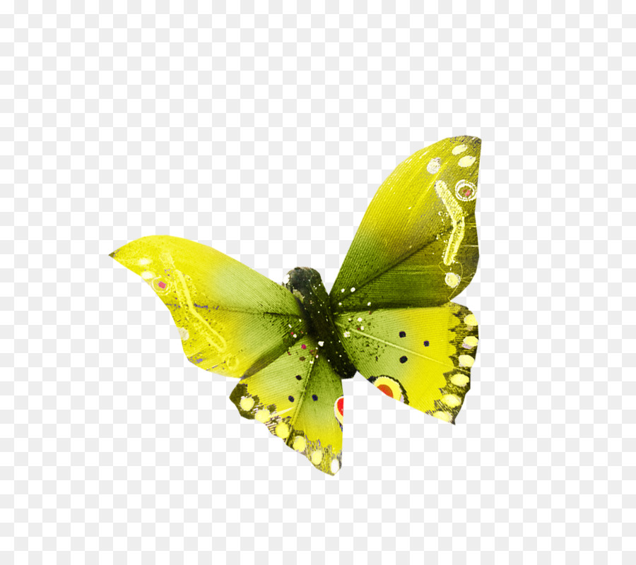 Mariposa，Amarillo PNG