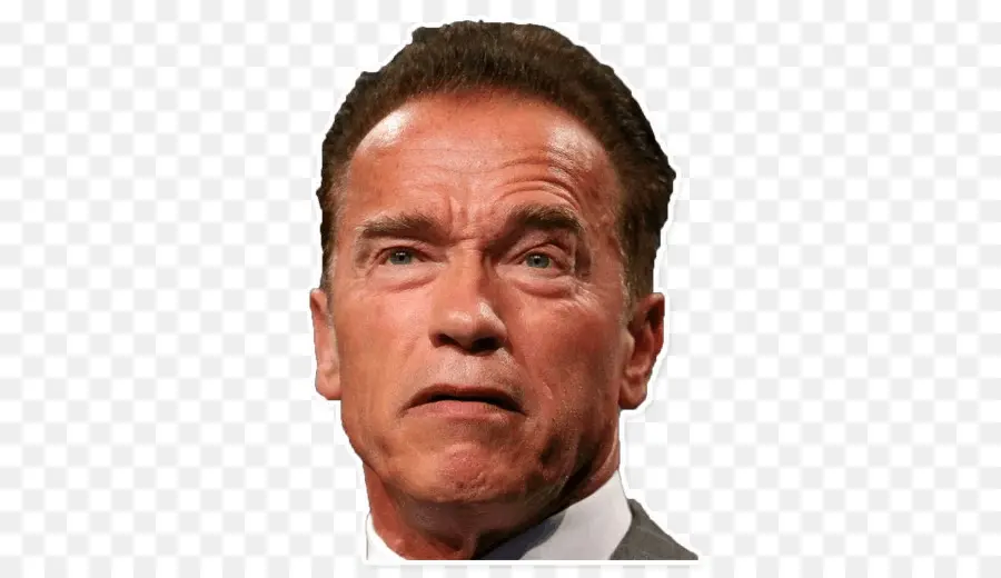 Arnold Schwarzenegger，El Actor PNG
