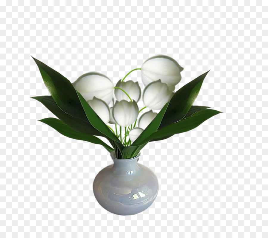 Tulipanes Blancos，Florero PNG