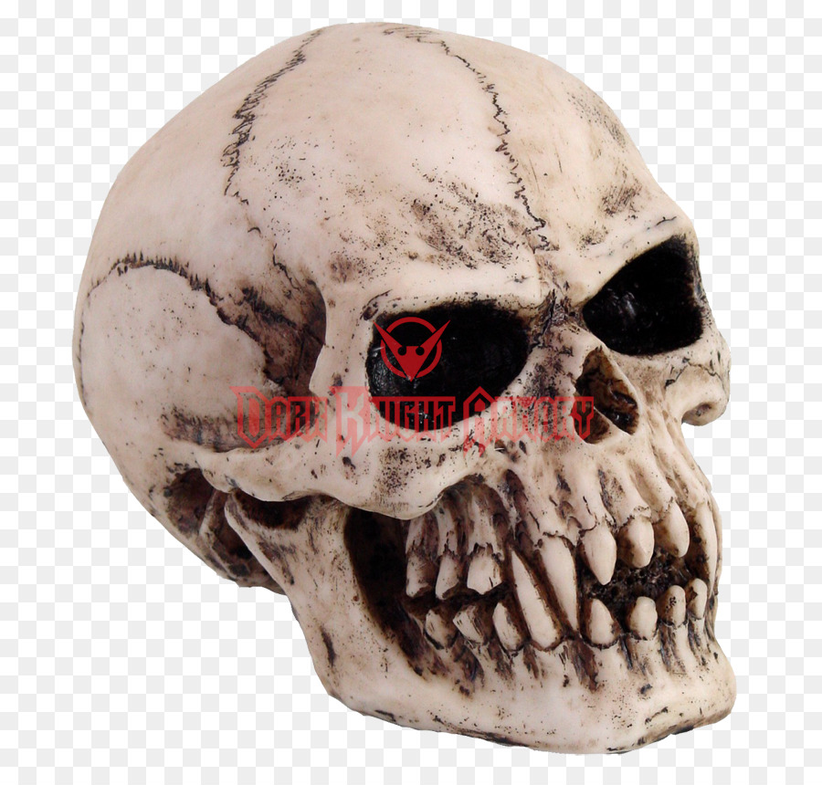 Calavera Llameante，Fuego PNG