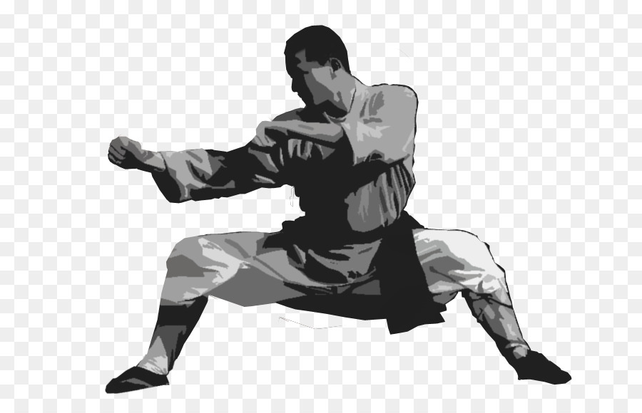 Artes Marciales Chinas，Artes Marciales PNG