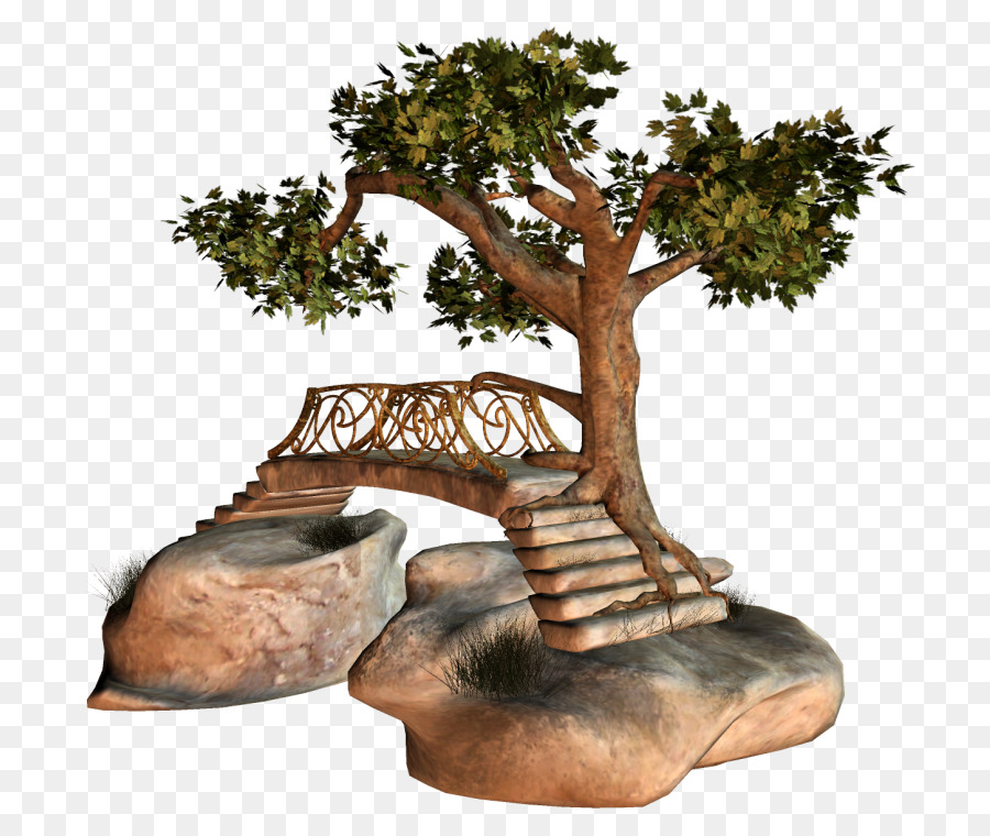 árbol Y Roca，Árbol PNG