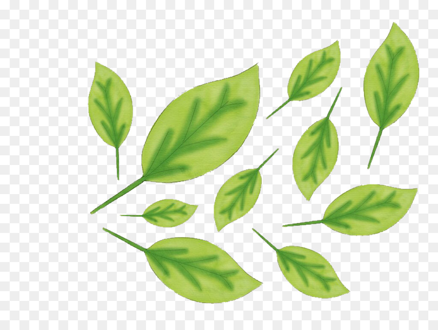 Hoja，Tallo De La Planta PNG