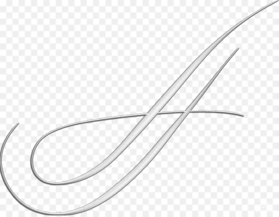 Caligrafía Elegante，Remolino PNG