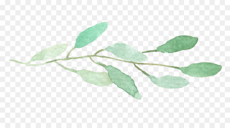 Bride，Leaf PNG