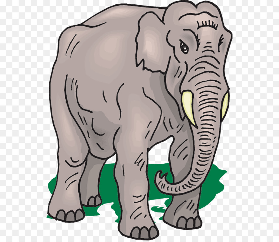 Elefante Asiático，Elefante PNG