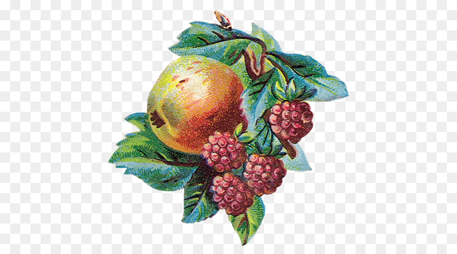 Berry，Auglis PNG