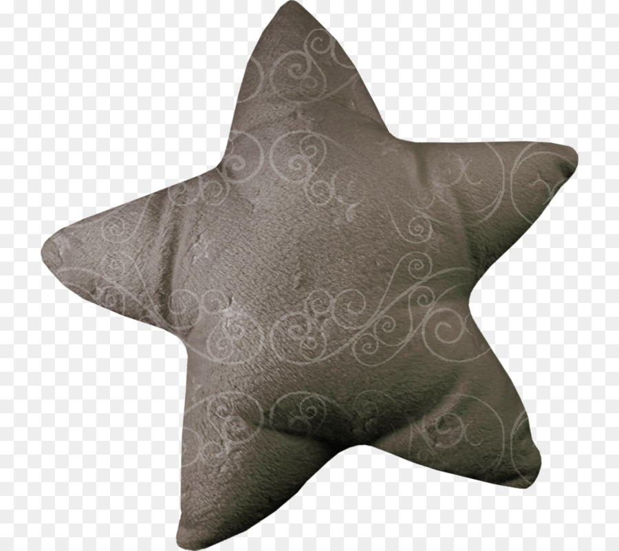 Parme，Almohada PNG