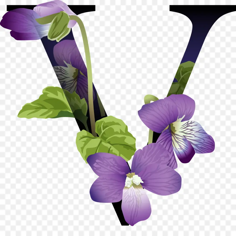 Letra V Con Flores，Alfabeto PNG