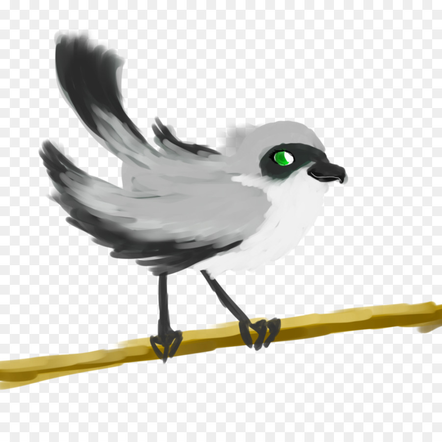 Pluma，Pico PNG