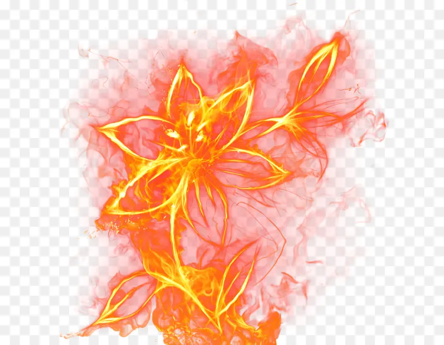 Flor De Fuego，Llama PNG