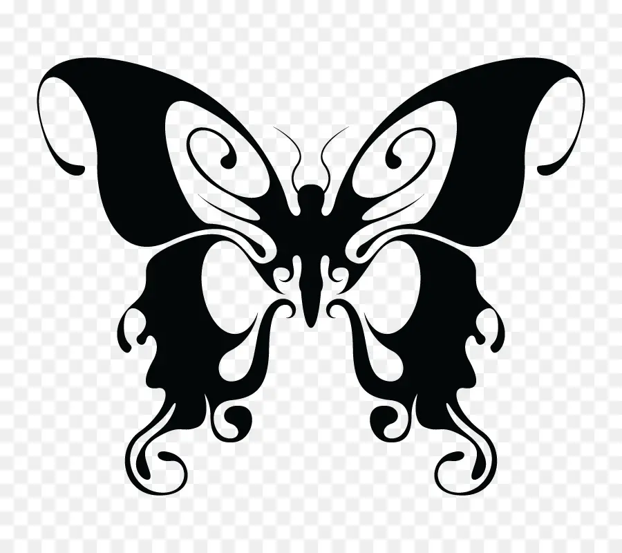 Mariposa，Dibujo PNG