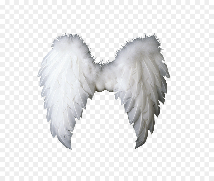 Alas De Angel，Plumas PNG