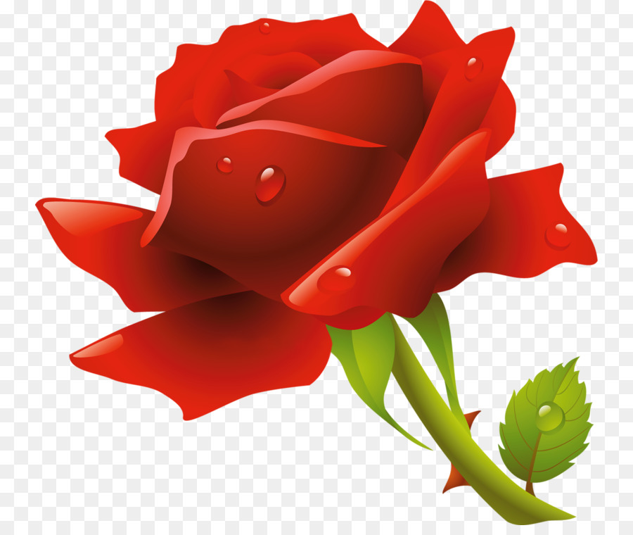 Rosa，Iconos De Equipo PNG