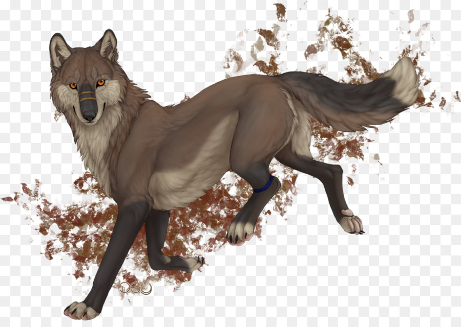 Coyote，Perro PNG