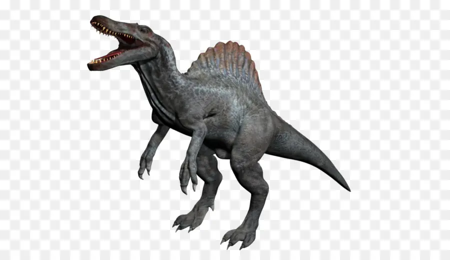 Spinosaurus，Tyrannosaurus PNG