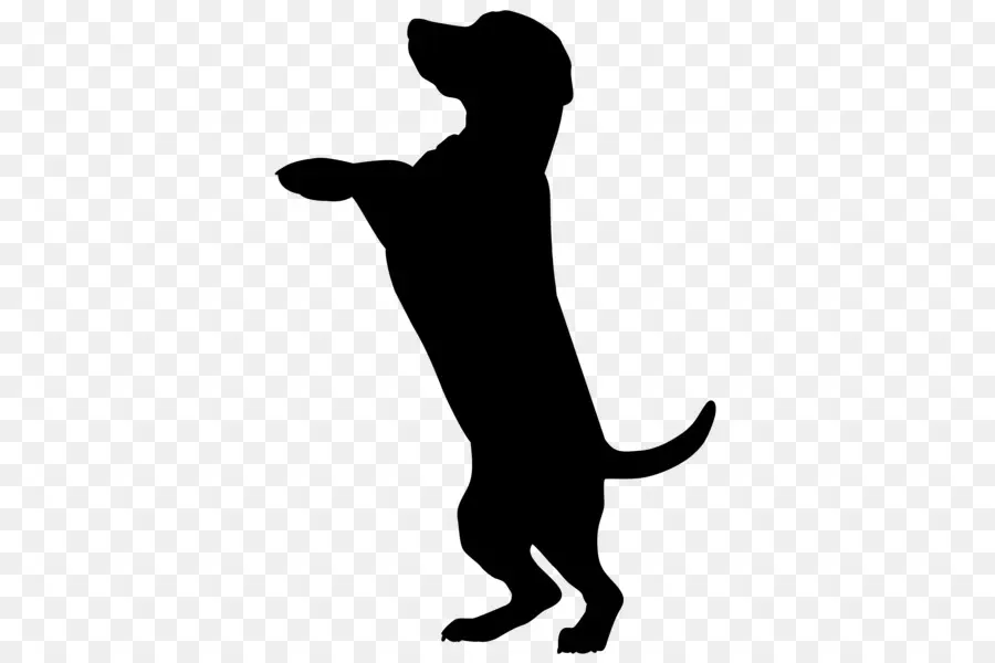 Silueta De Perro Negro，Mascota PNG