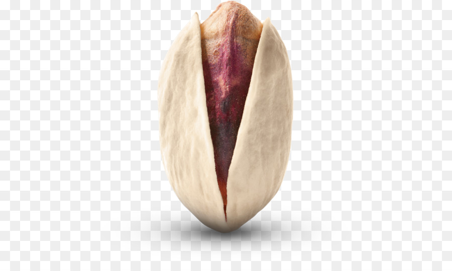 Pistacho，Tuerca PNG