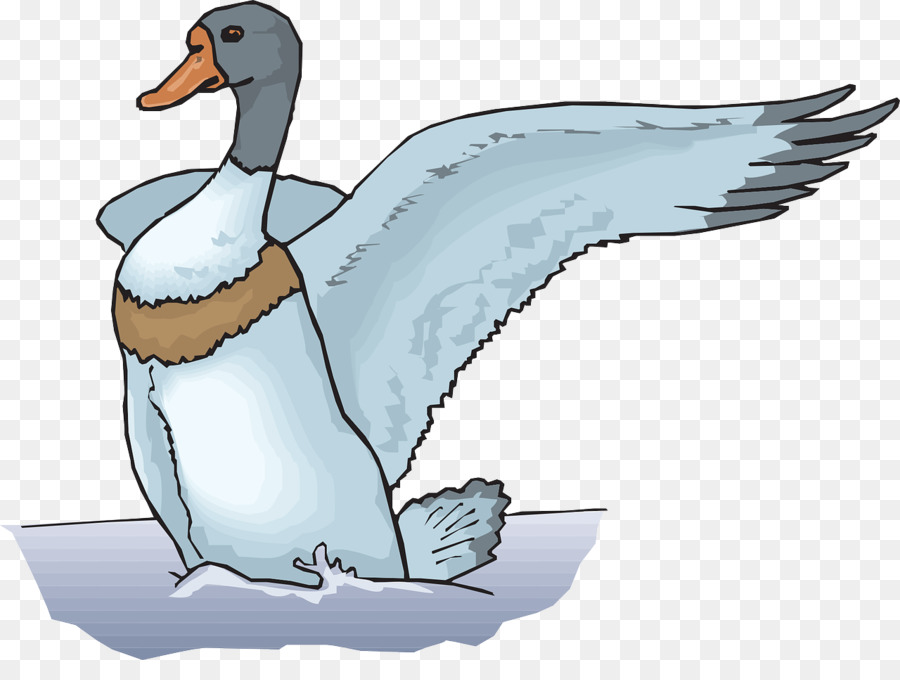 Pato，Ganso PNG