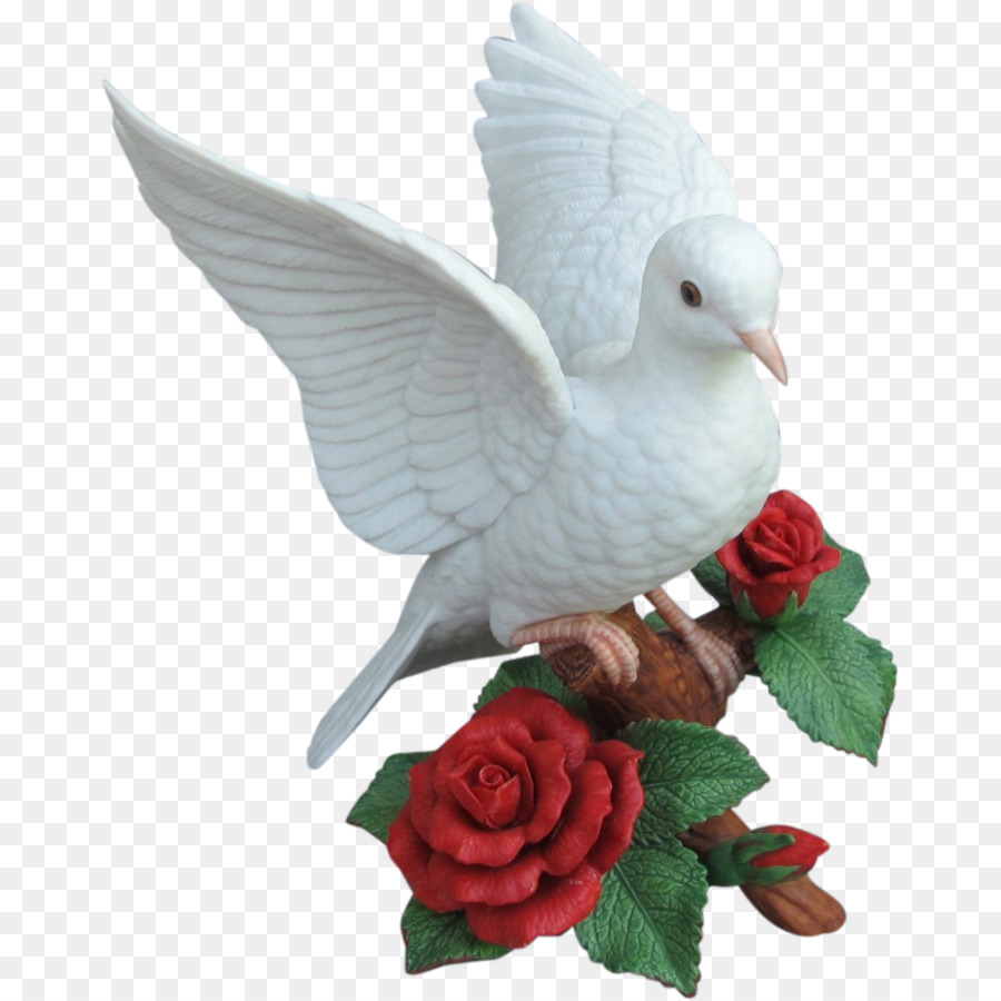 Columbidae，La Navidad PNG