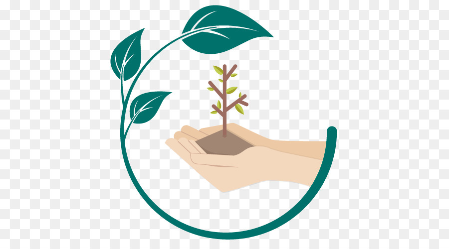 Planta De Mano，Crecimiento PNG