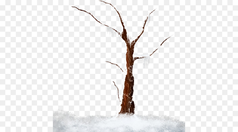 árbol Desnudo，Invierno PNG