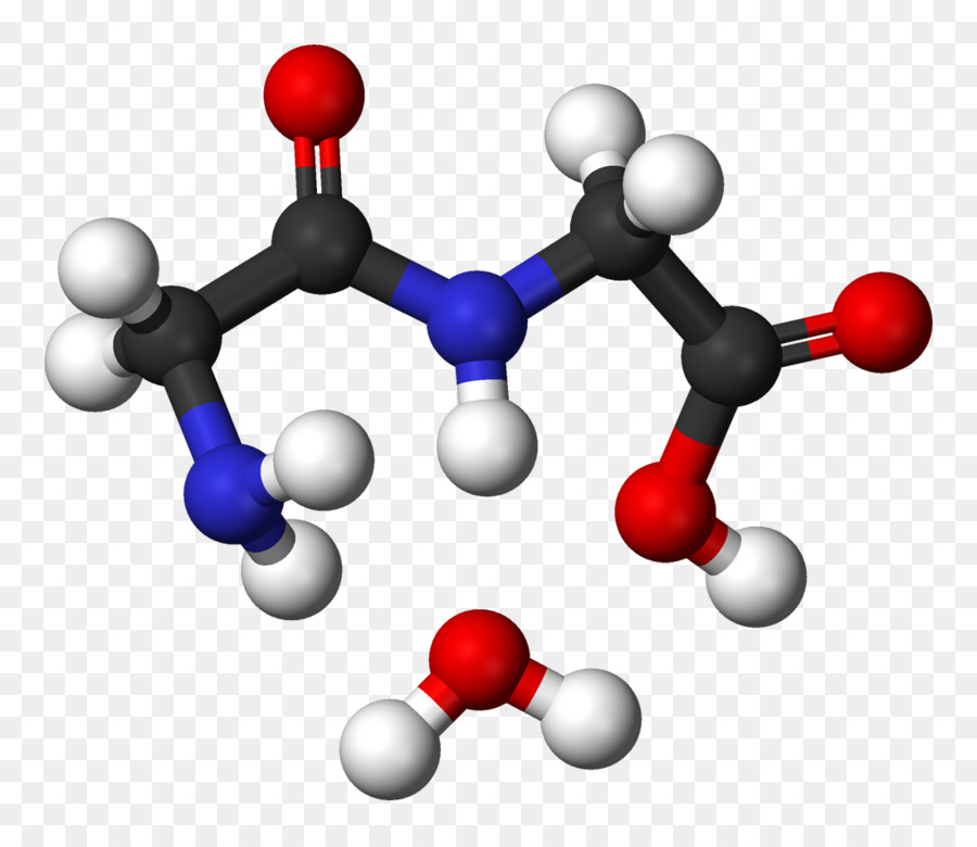 ácido Láctico，Acidosis Láctica PNG