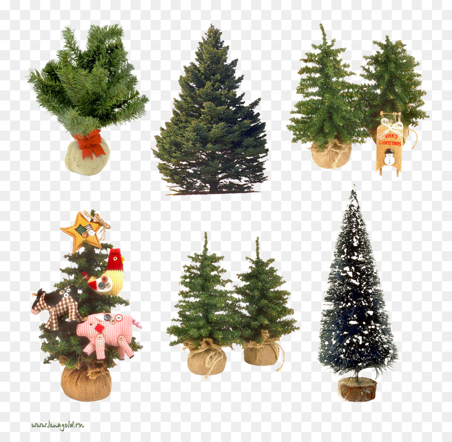 Mini árboles De Navidad，Navidad PNG