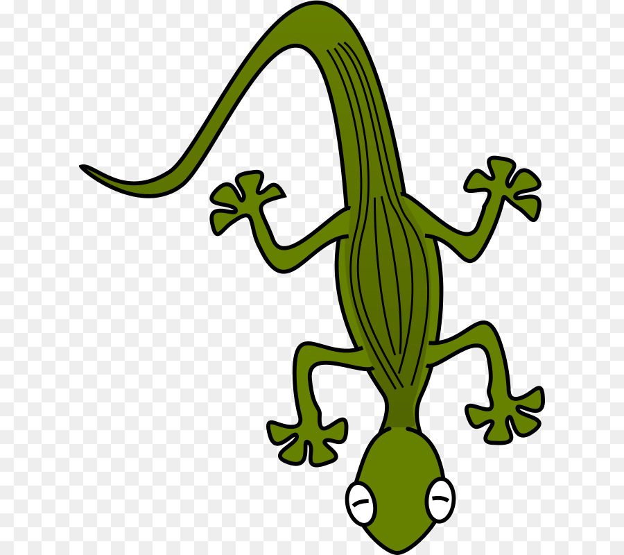 Oso，Reptiles PNG