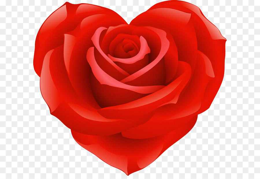 Rosa En Forma De Corazón，Amar PNG