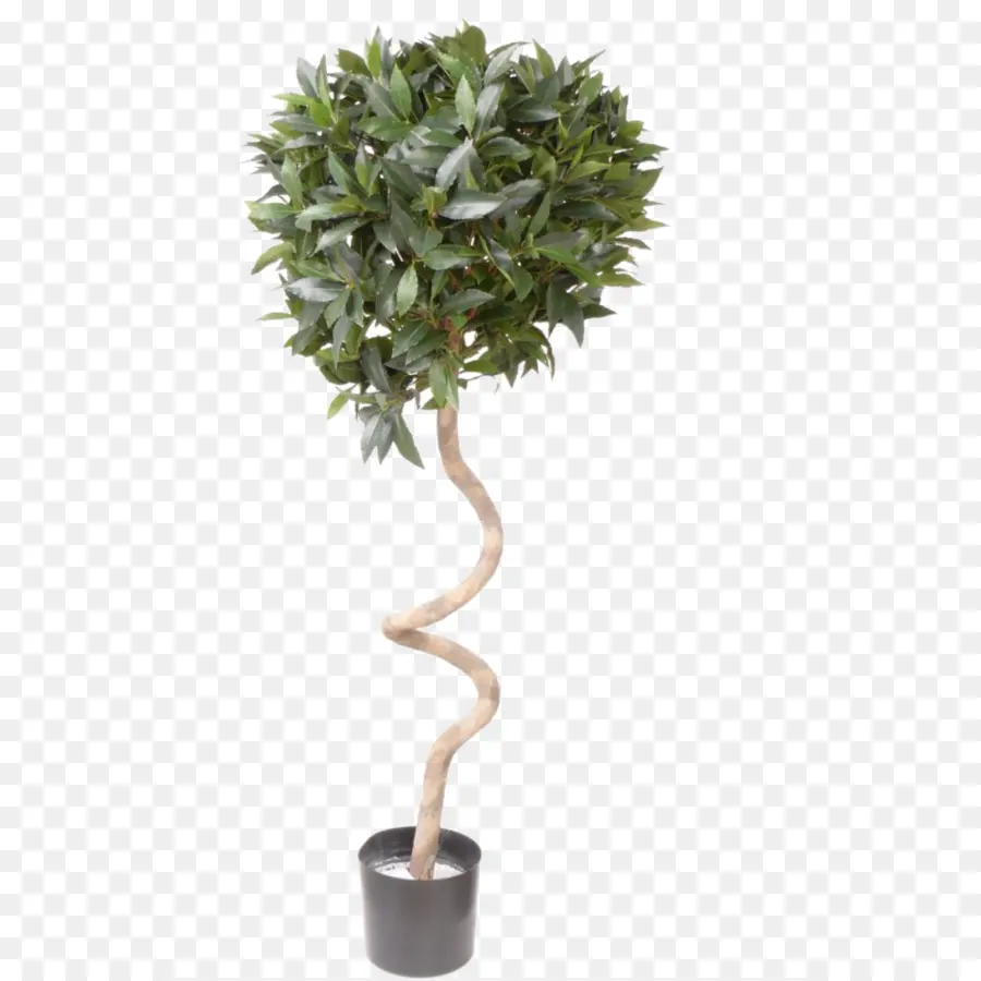 Topiario，árbol PNG