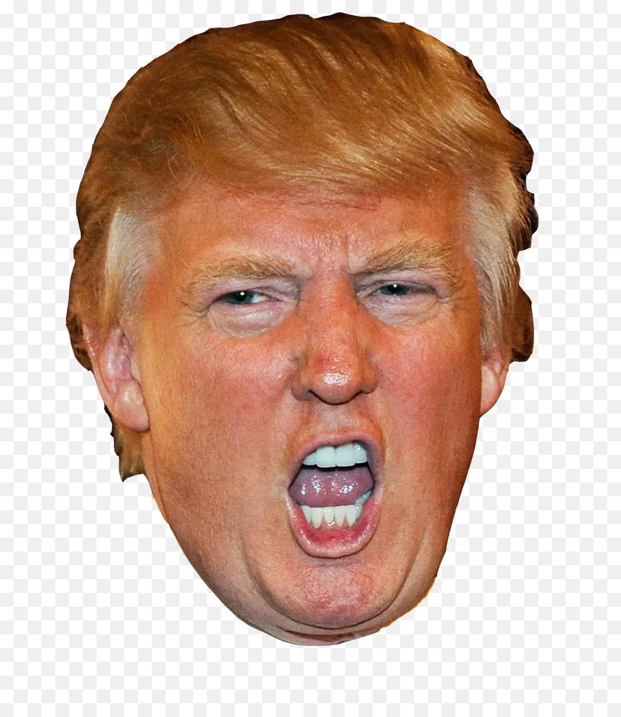 Donald Trump，Aprendiz PNG