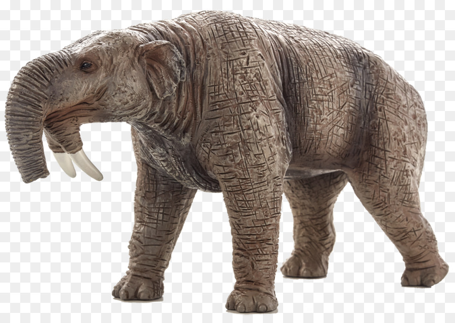 Elefante Africano，Elefante Indio PNG