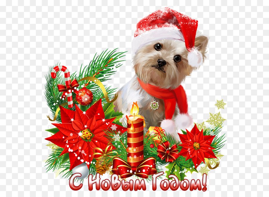 Perro De Navidad，Gorro De Papá Noel PNG