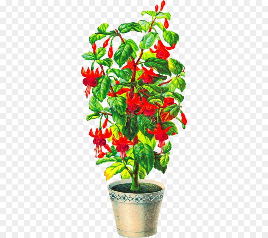 Planta Con Flores Rojas，Olla PNG