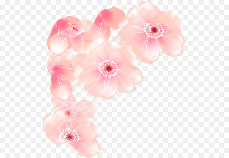 Diseño Floral，Flor PNG