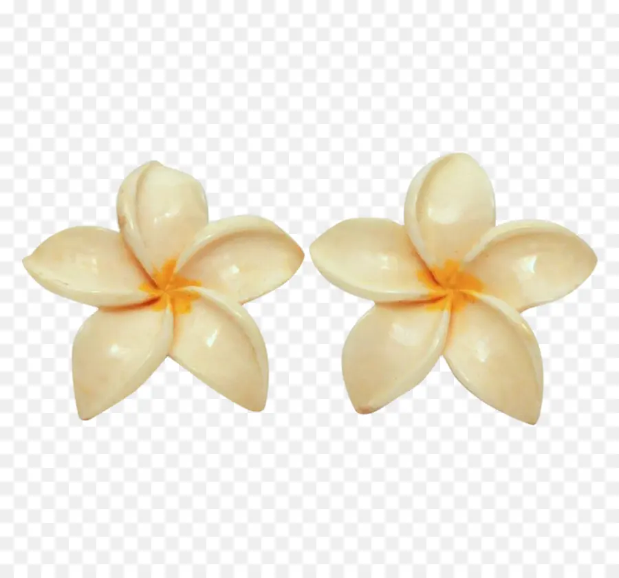 Frangipani，Flor PNG